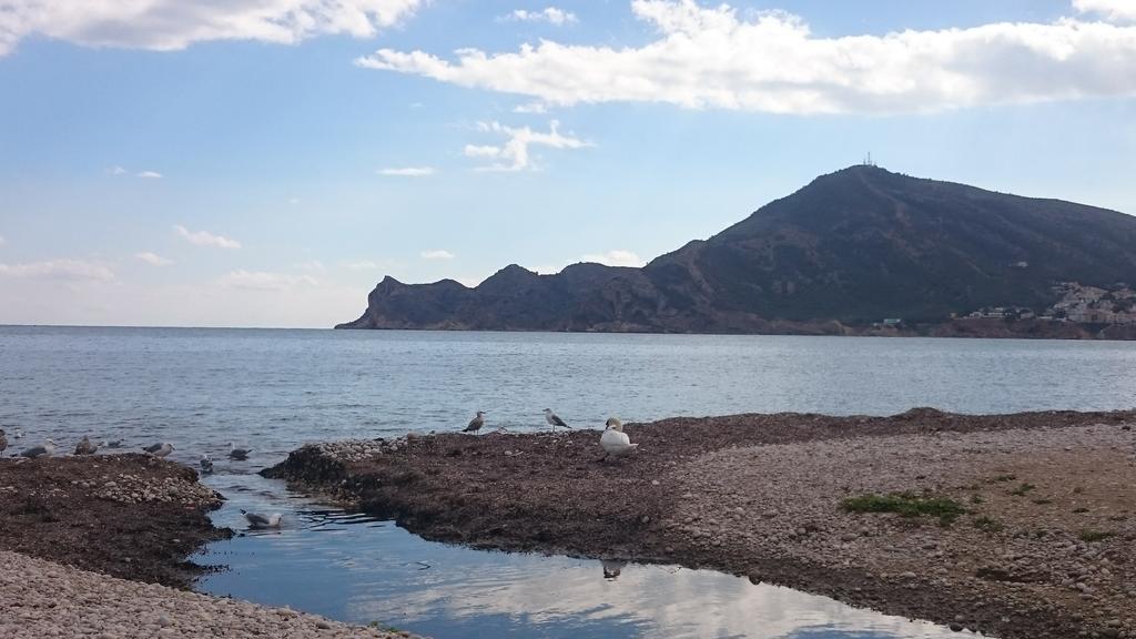 Hostal Ventorrillo El Albir Екстер'єр фото